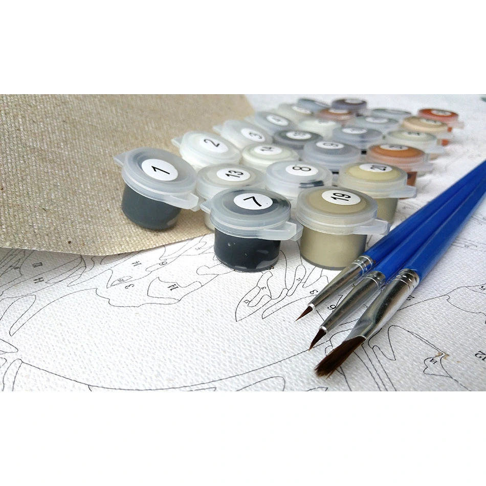 Frameless Magnolia DIY Digital Painting Kit