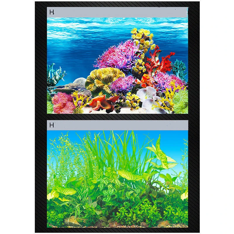 Fish Tank Background Sticker Painting Hd Picture