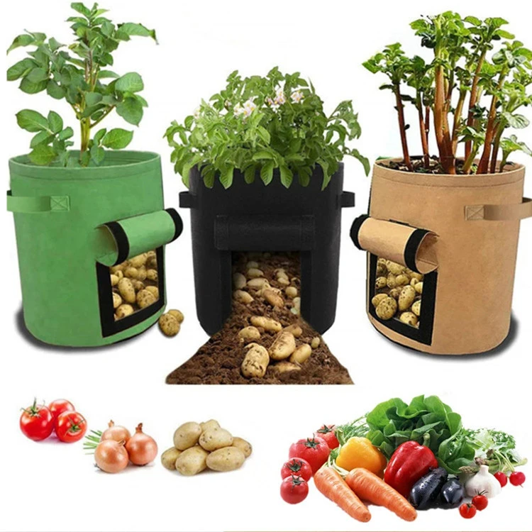 Multifunctional Vegetable Seedling Barrel