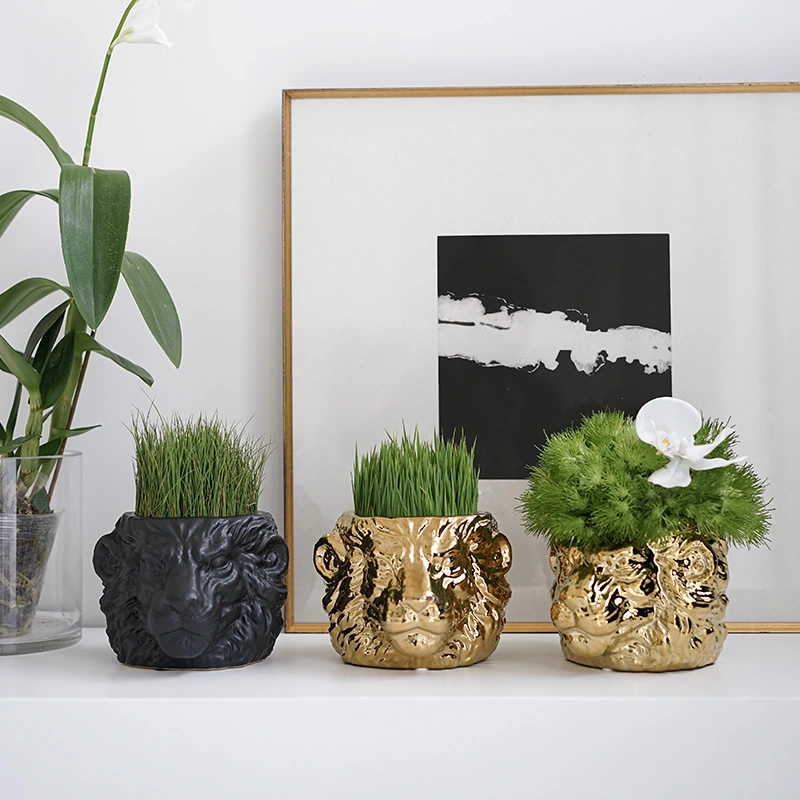 Modern Minimalist Lion Head Ceramic Flower Pot