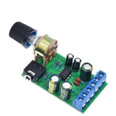 Power Amplifier Board 2.0 Stereo DC Power Amplifier Board Radio Power Amplifier Board