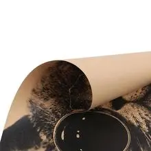 Eye Cat Vintage Kraft Paper Poster Interior Bar Cafe Decoration Painting