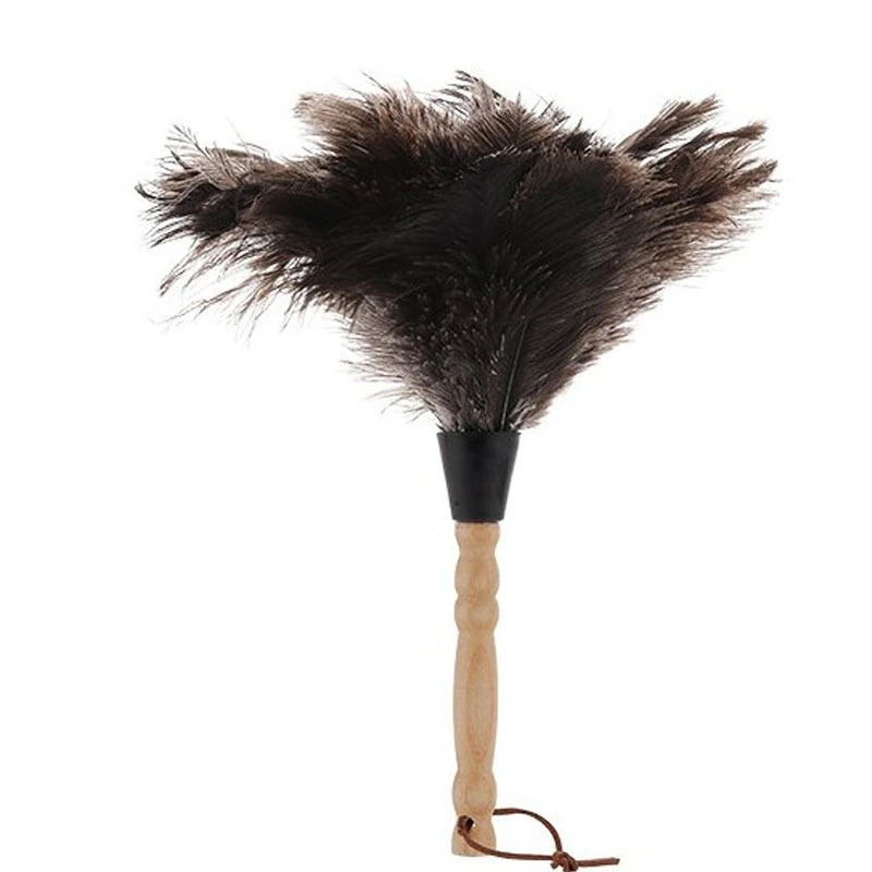 Solid Wood Handle Feather Duster Ostrich Feather Duster Small Dusting Duster Household Dust Brush