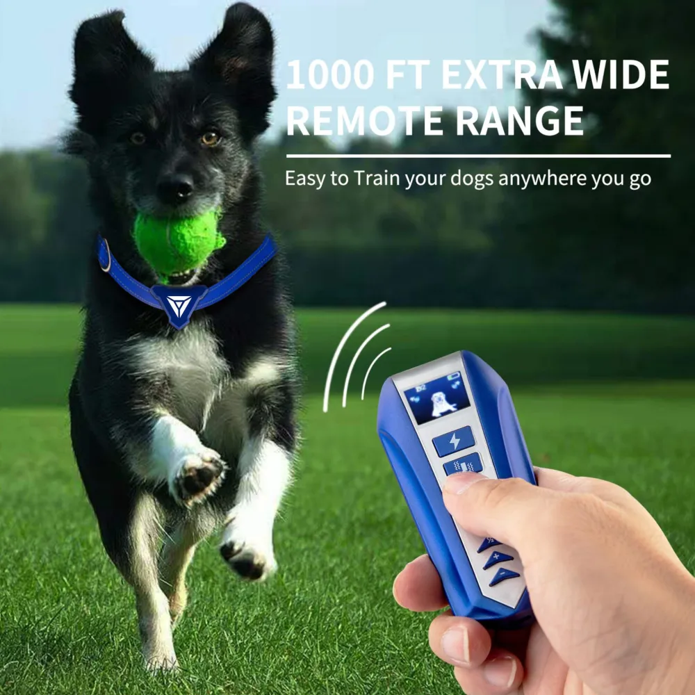 Color Screen 800m Electronic Remote Control Dog Trainer