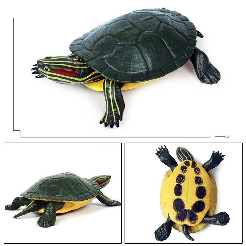 Children's Toy Solid Static Simulation Turtle Model