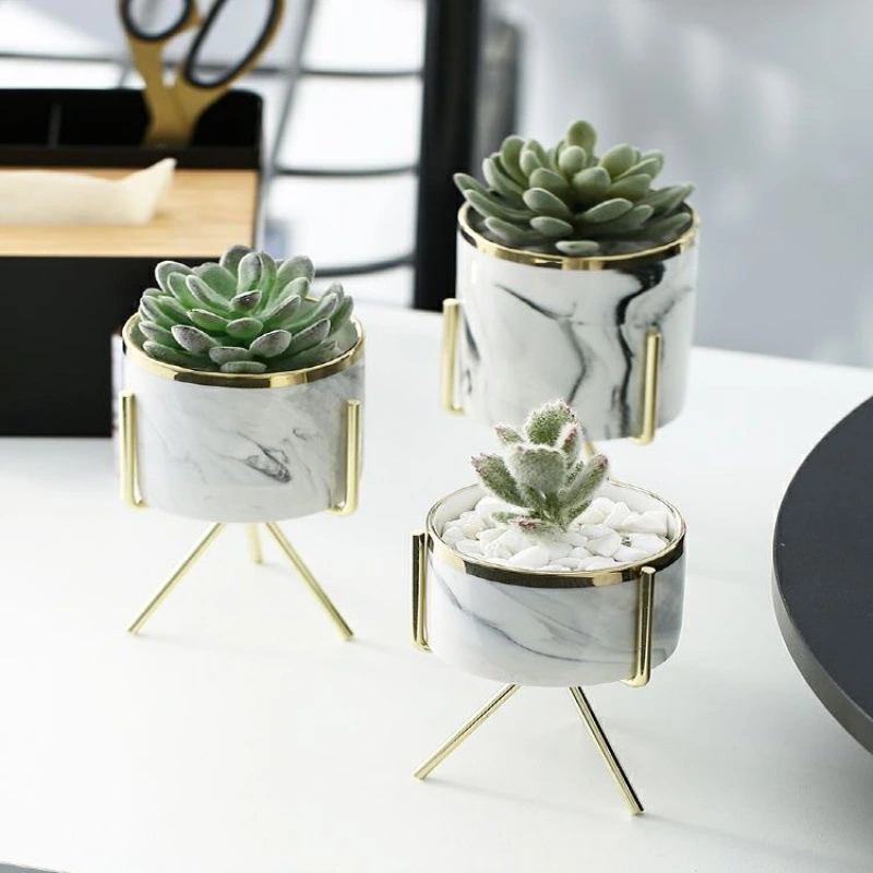 Succulent Ceramic Flowerpot Tabletop Iron Frame Decoration