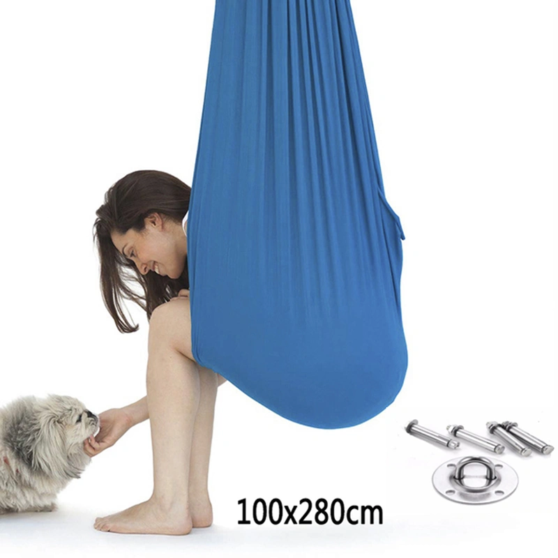 Amazon Children's Elastic Swing Sensory Training