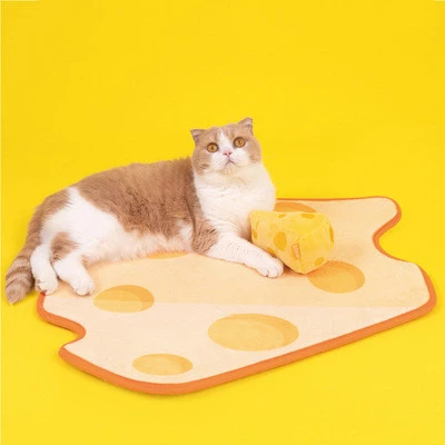 Cat And Dog Sleeping Mat Door Mat Living Room