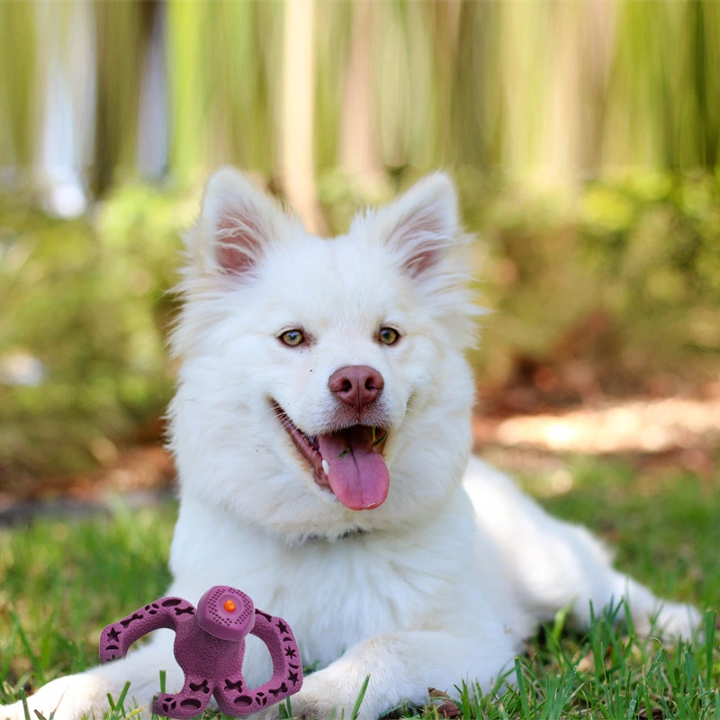 Safe And Non-toxic Pacifier Toy For Removing Bad Breath And Tartar