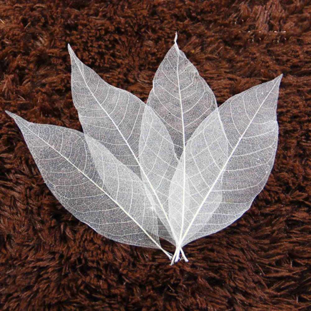 Natural Leaf Specimen Bookmark Diy Material Package Handmade Self-made Props