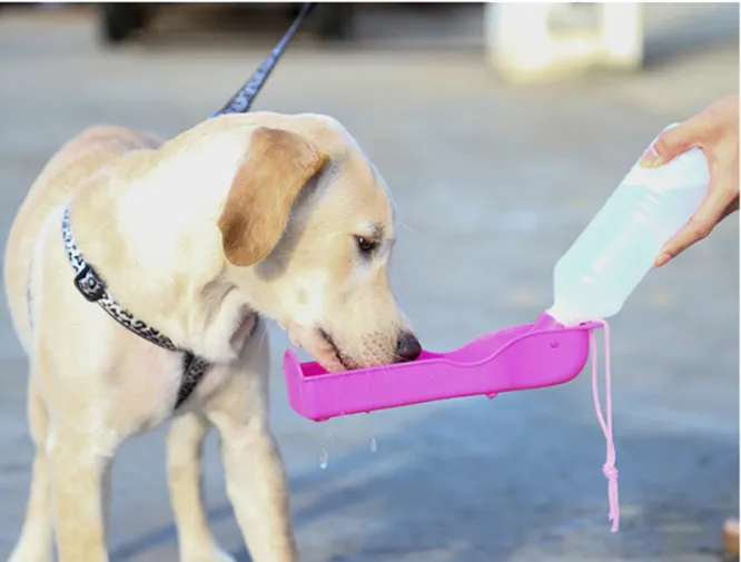 Portable Outdoor Water Feeding For Dogs