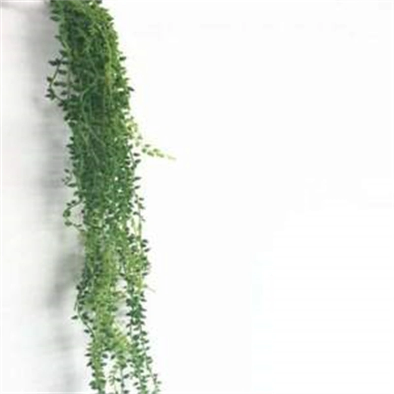 Wall Decoration Artificial Flower Vine Lover's Tears