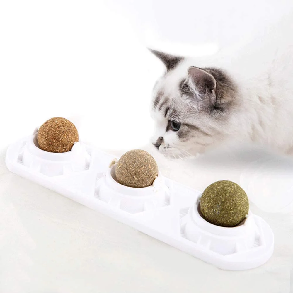 Cat Self-hey Toy Molar Supplies