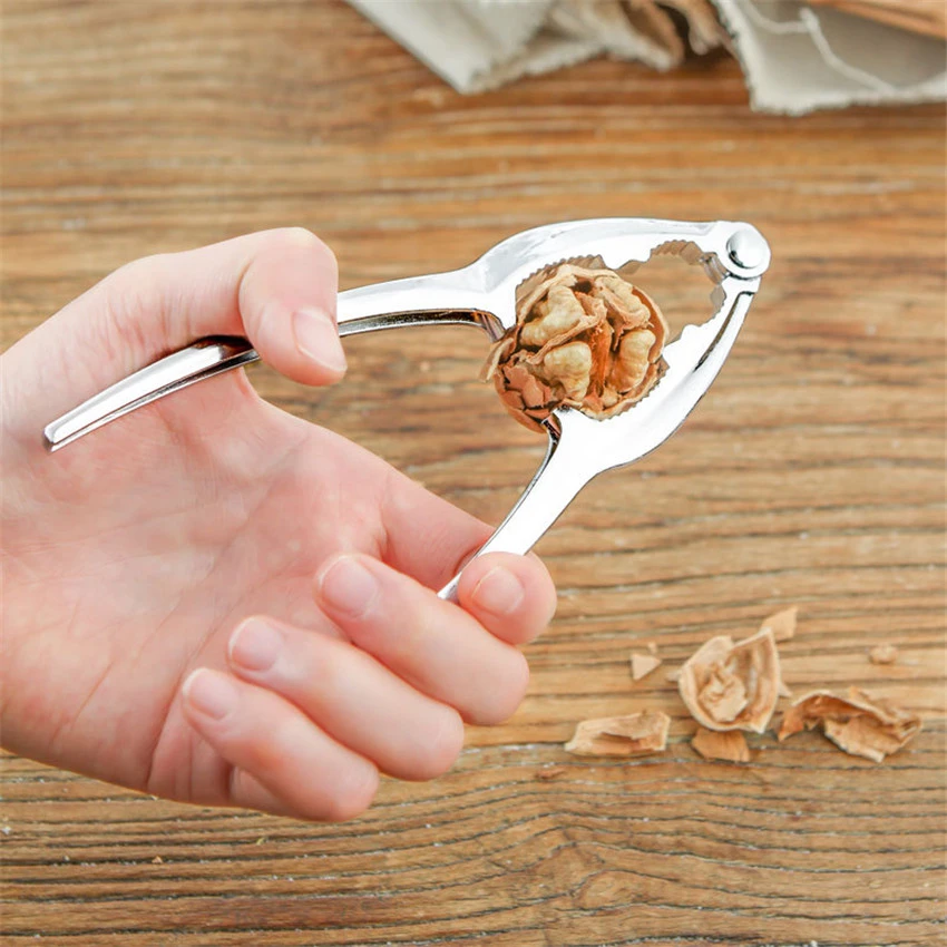 Creativity Pecan Pine Nut Stainless Steel Clamp