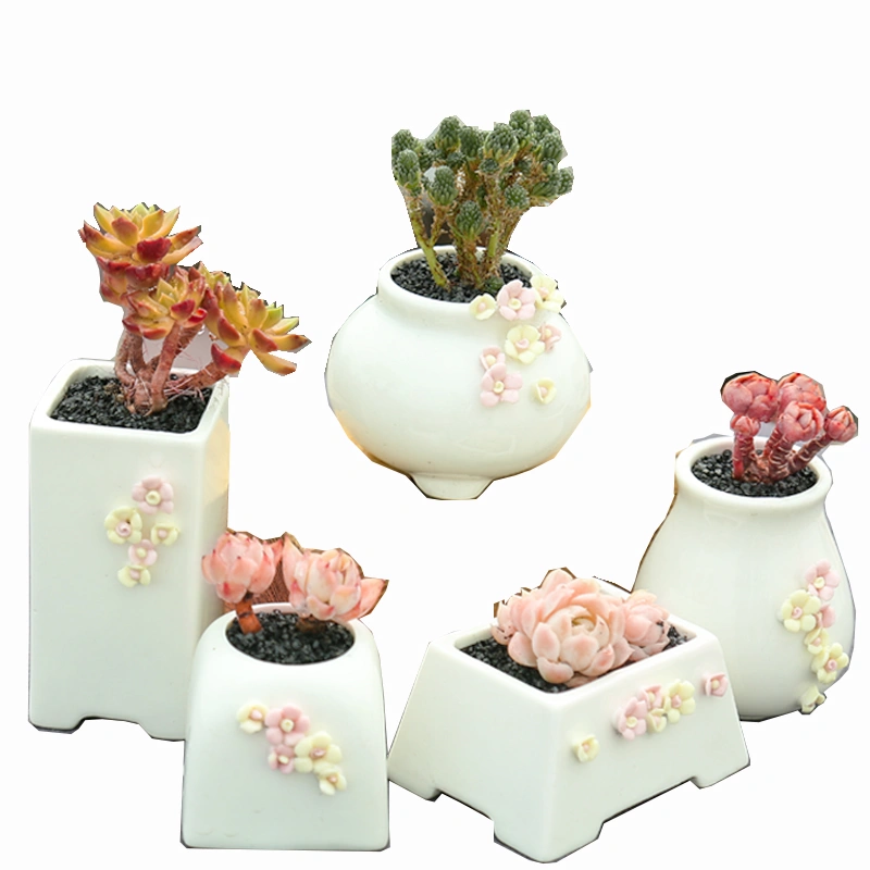 Breathable Stoneware Simple Plant Succulent Pot Ceramic