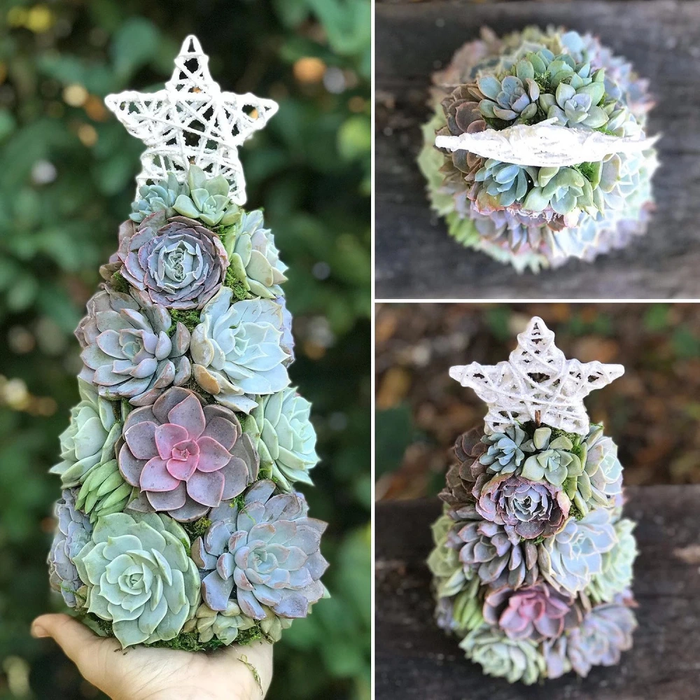 Simulation Succulent Christmas Resin Home Living Room Study Decoration