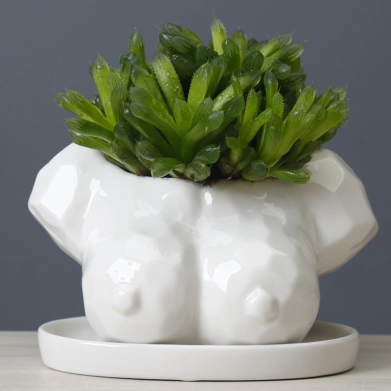 Cartoon Succulent Flower Pot Ceramic White Creative Abstract Body Art Floral