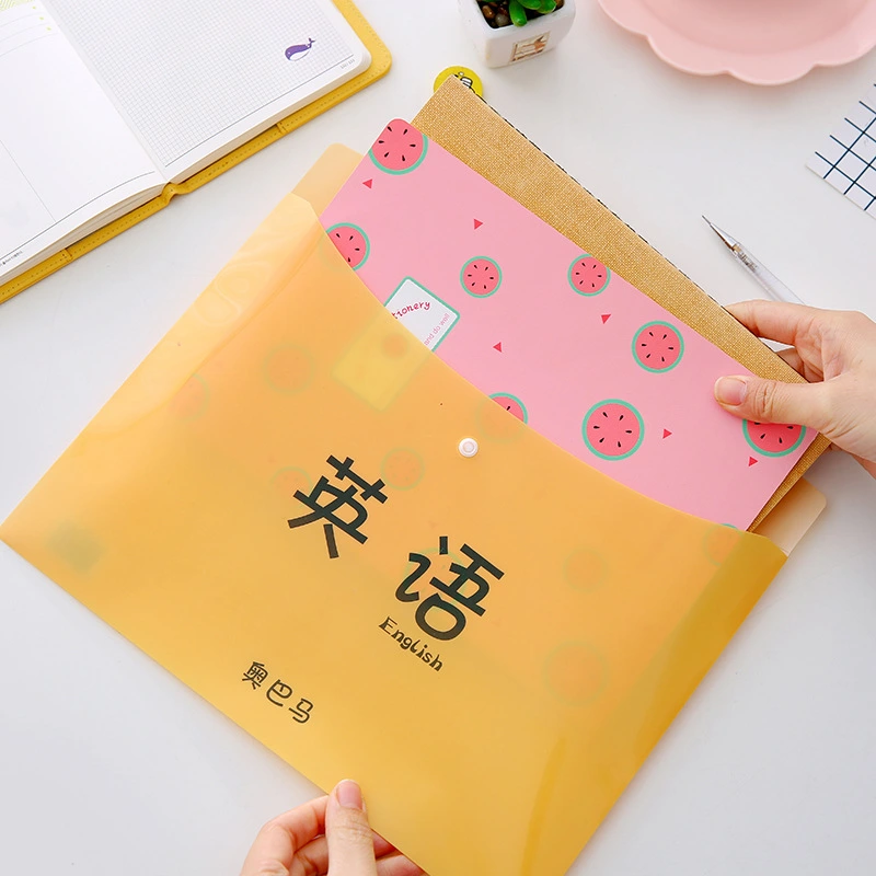 Student Cute A4 Paper  Transparent Folder