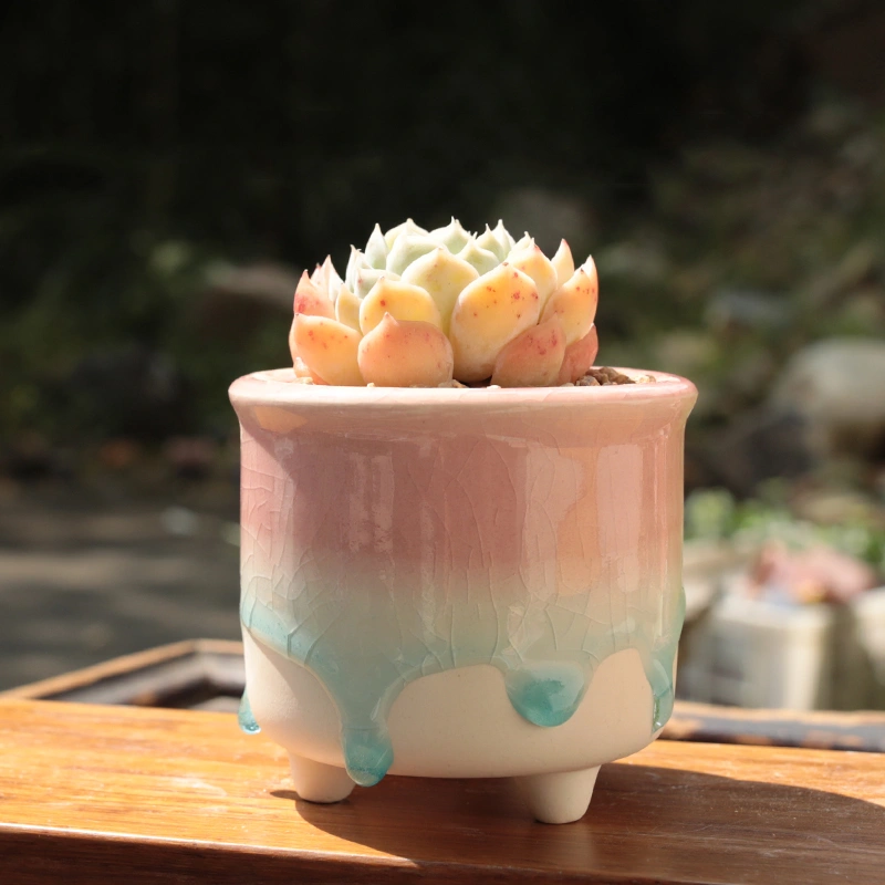 Succulent Plant Pot Simple Ice Cracked Flow Glaze Creative