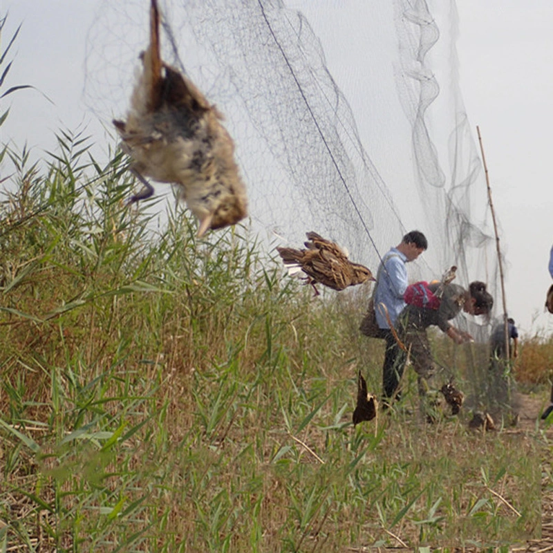 Bird-proof Net, Bird-proof Net, Pond Net, Orchard