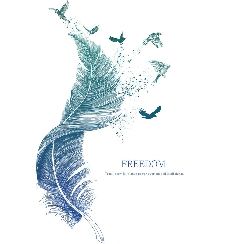 Simple  feather wallpaper stickers