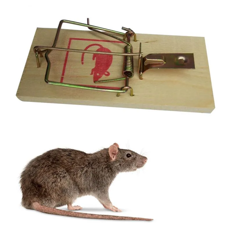 Household rodent control rodenticide