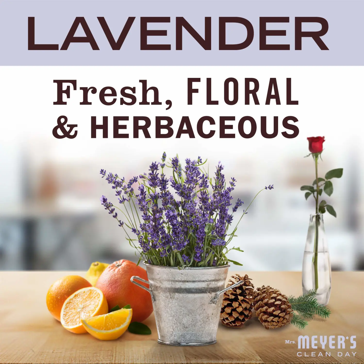 MRS. MEYER'S Clean Day Liquid Laundry Detergent, Cruelty Free and Biodegradable Formula, Lavender Scent, 64 oz- Pack of 2