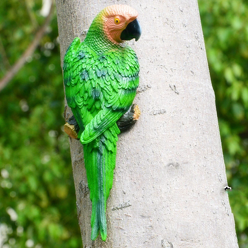 Hanging the parrot