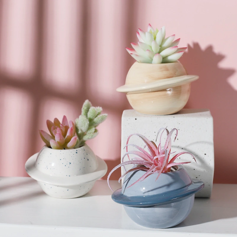 Ceramic Succulent Flower Pot