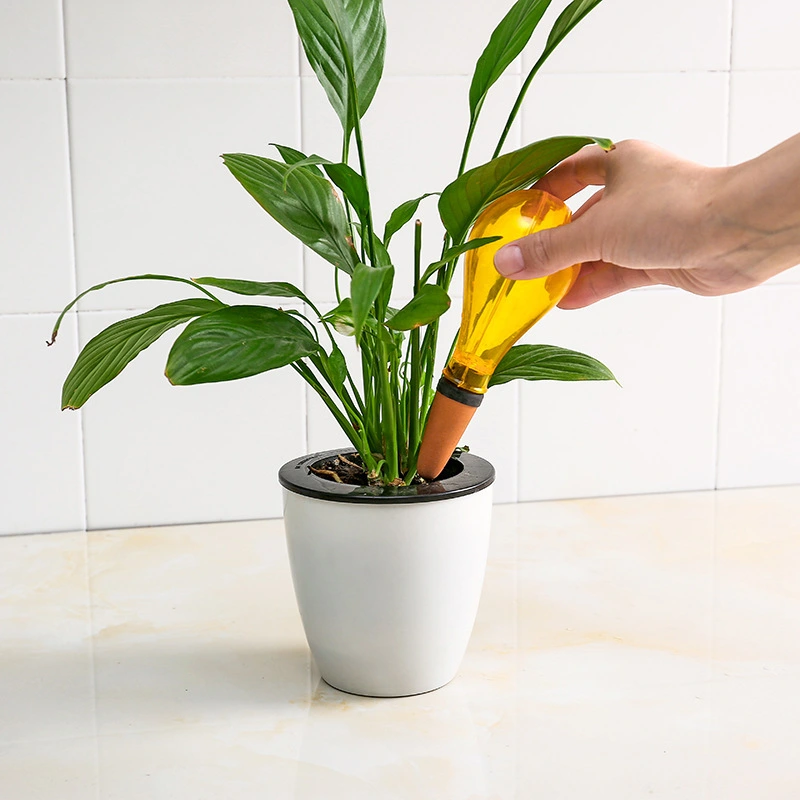 Automatic watering device for succulents