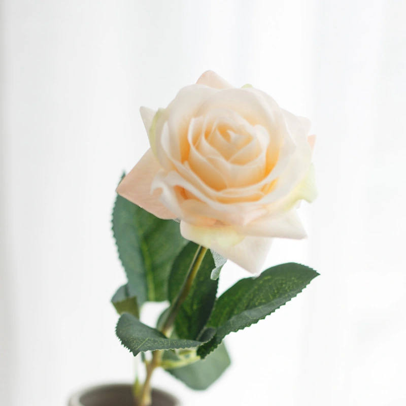 Single Hand Moisturizing Rose Holding Artificial Flowers