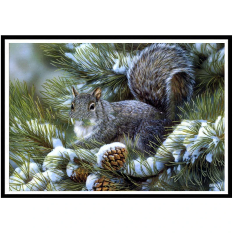 The New 5D Diamond Painting Full Of Diamond Animal Series Squirrel