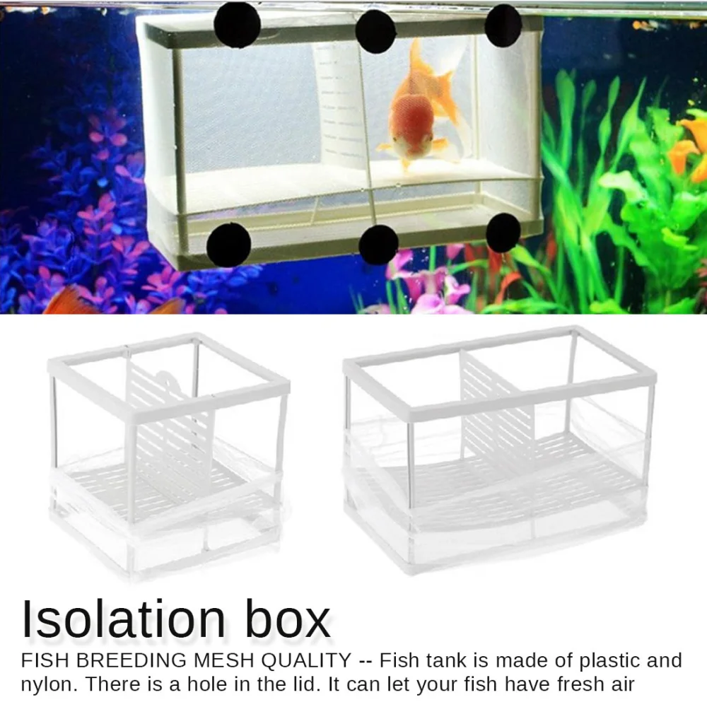 Peacock Phoenix Tail Hatching Breeding Box