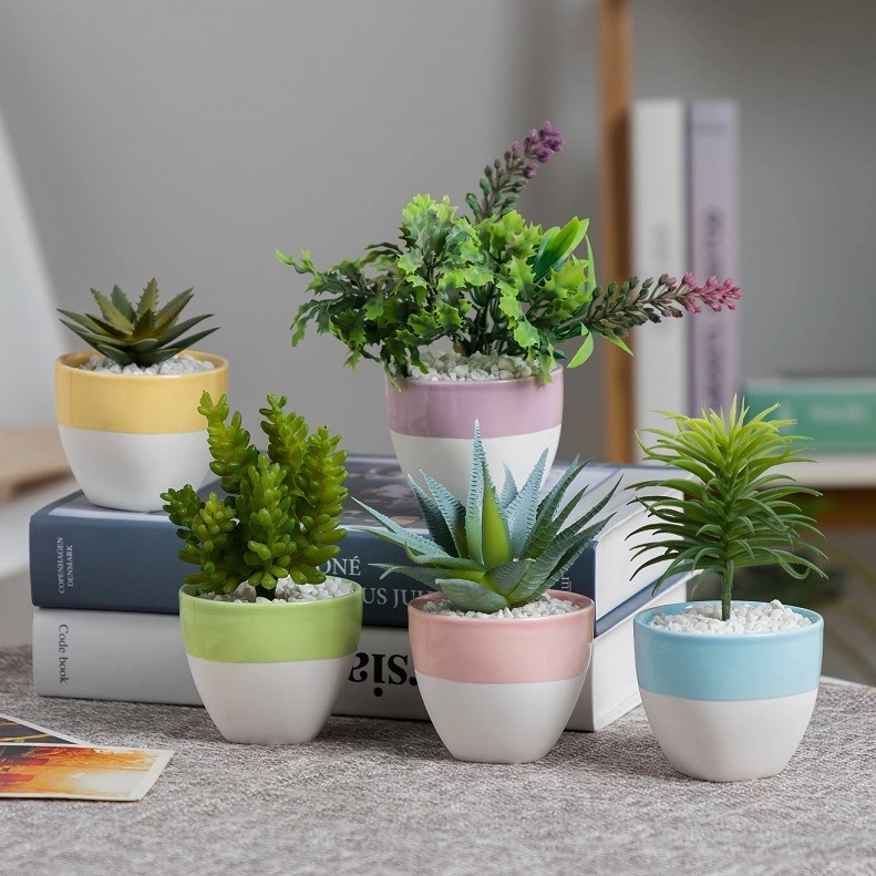 A flower pot for planting meat on the table