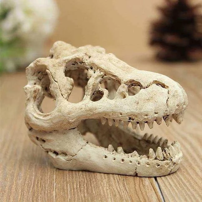 Aquarium fish tank ornaments dinosaur resin skull