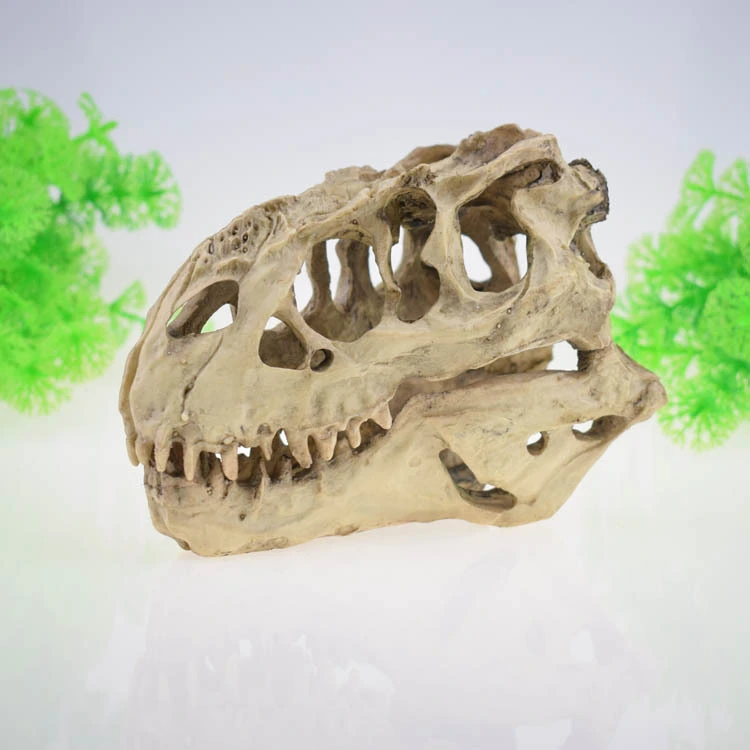 Aquarium fish tank ornaments dinosaur resin skull