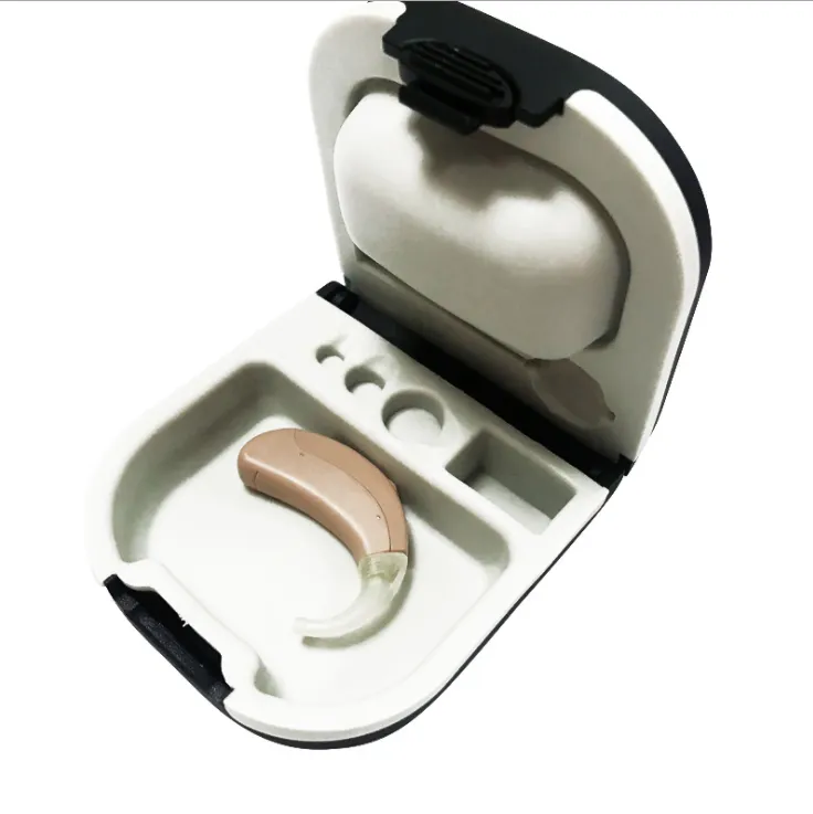 Hearing aid carrying case