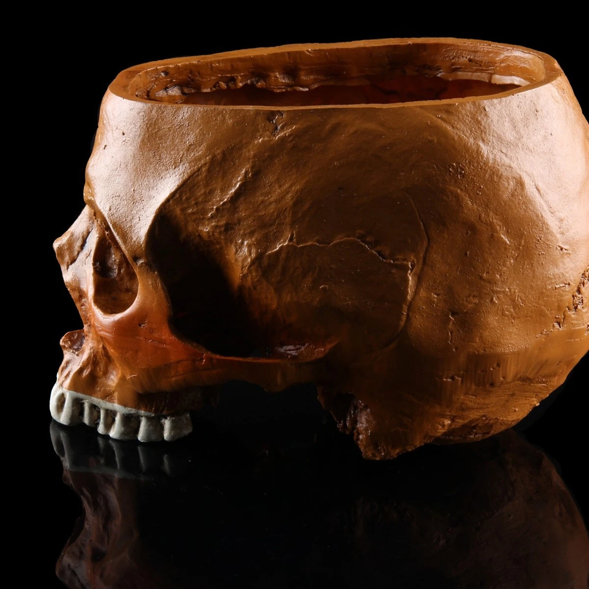 Flower pot skull