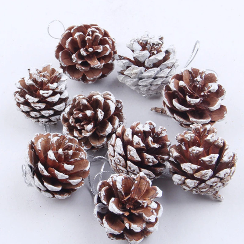 White paint natural pine cones