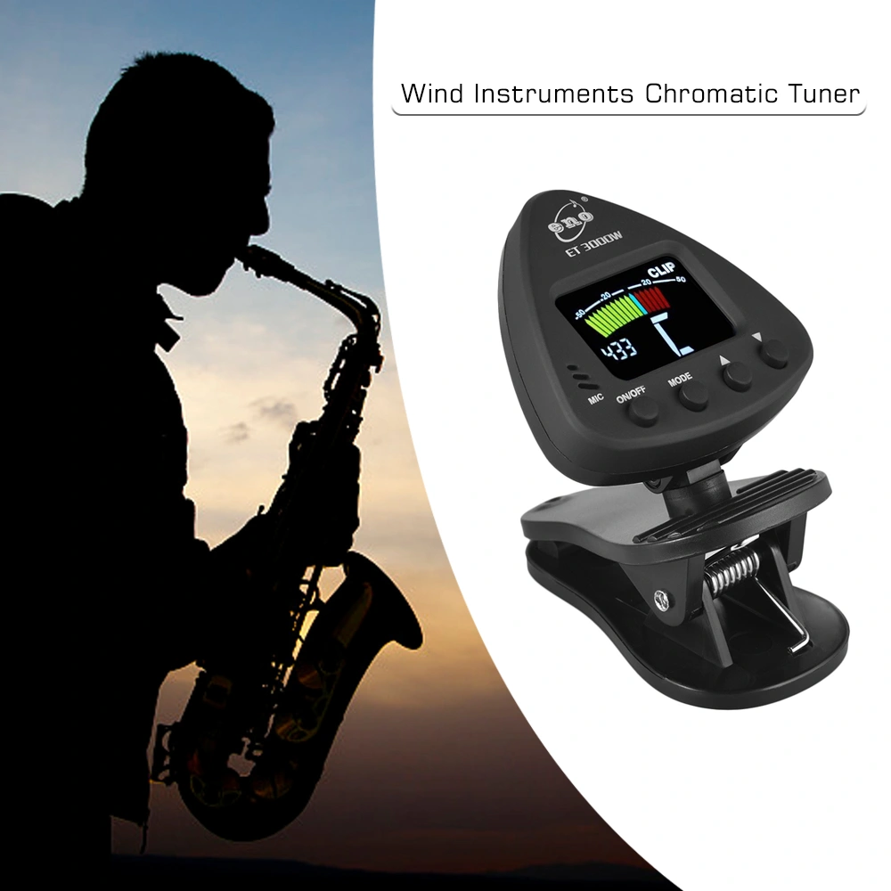 Flute tuner playing instrument tuner