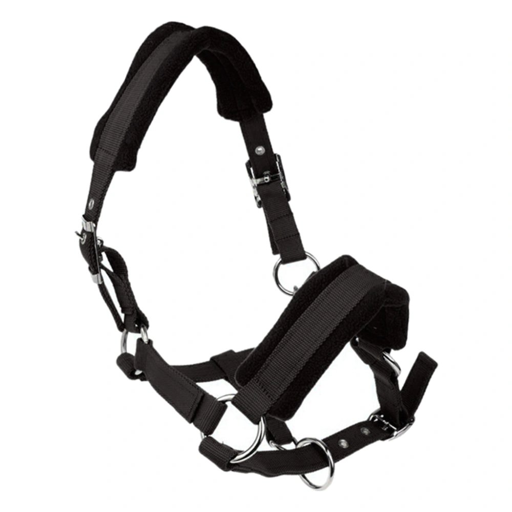 Sponge Cushioned Metal Eye Buckle Bridle