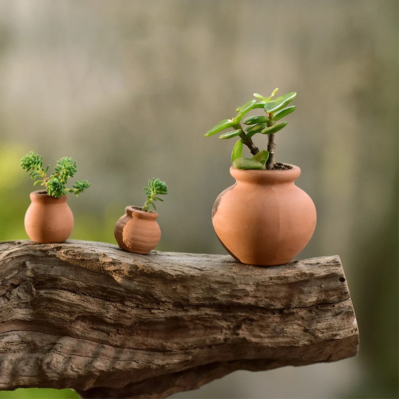 Super Mini Ceramic Flower Pot