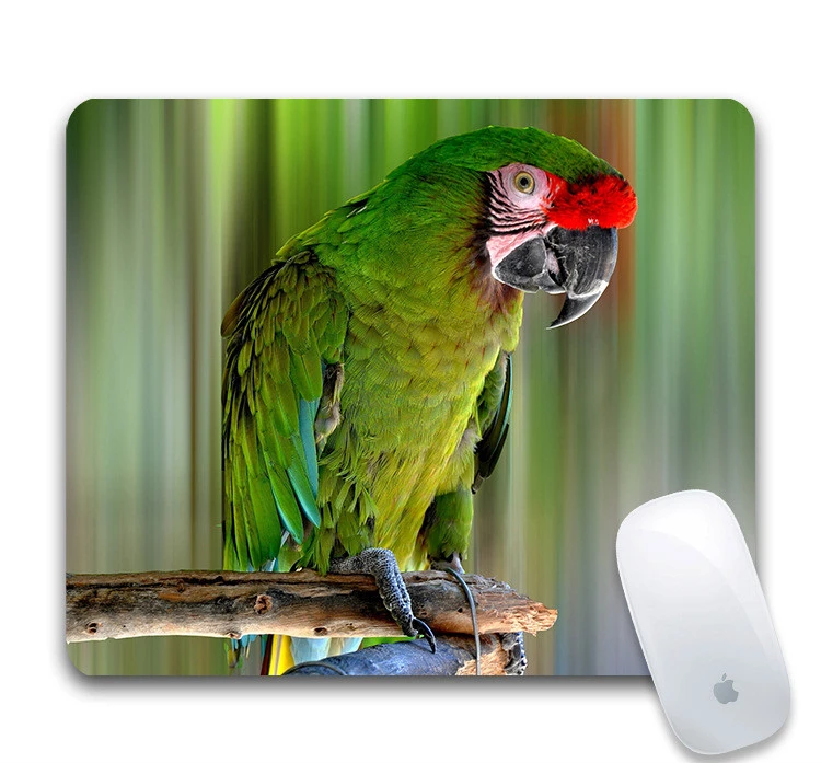 Creative Rubber Diy Bird Parrot Sparrow Mouse Pad