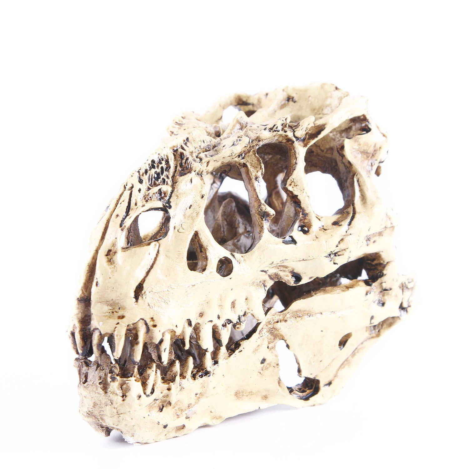 Personalized Decoration Tyrannosaurus Dinosaur Skull Specimen Resin Skull