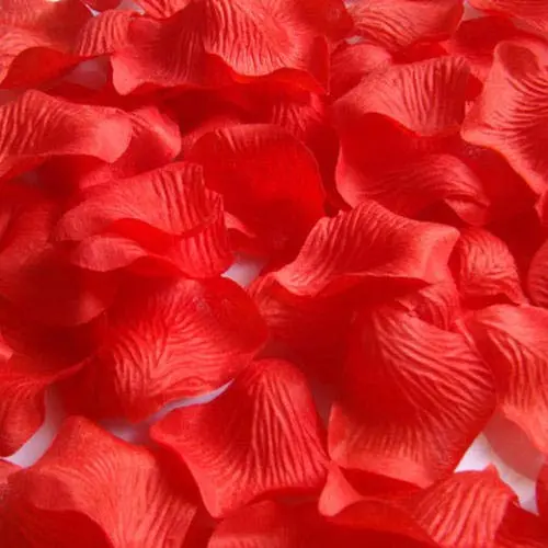 HongyiTime 1000 PCS Artificial Silk Rose Petals Decoration for Romantic Night, Wedding, Event, Party, Decoration, Decoration Wedding Party Color Red Rose Petals