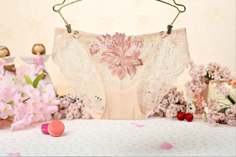 Sexy Lace Low Waist Cute Embroidered Ladies Panties