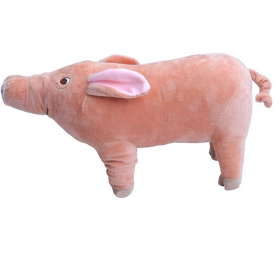 Sleeping Pig With Dog Toy