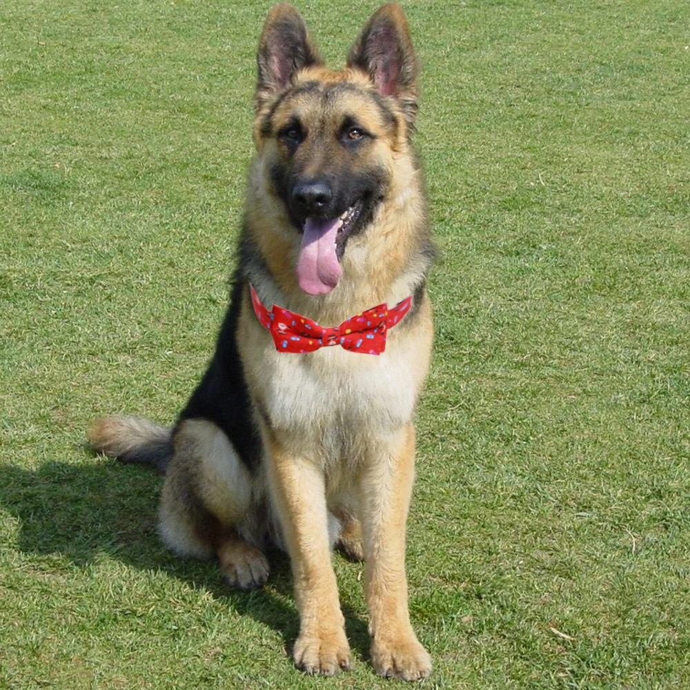 A Large Dog Bow On A Christmas Pet Collar