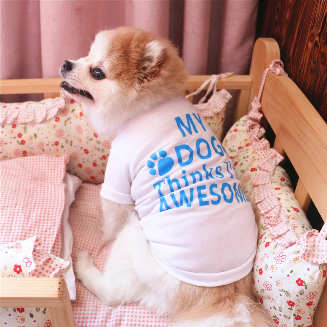 Summer pet clothes