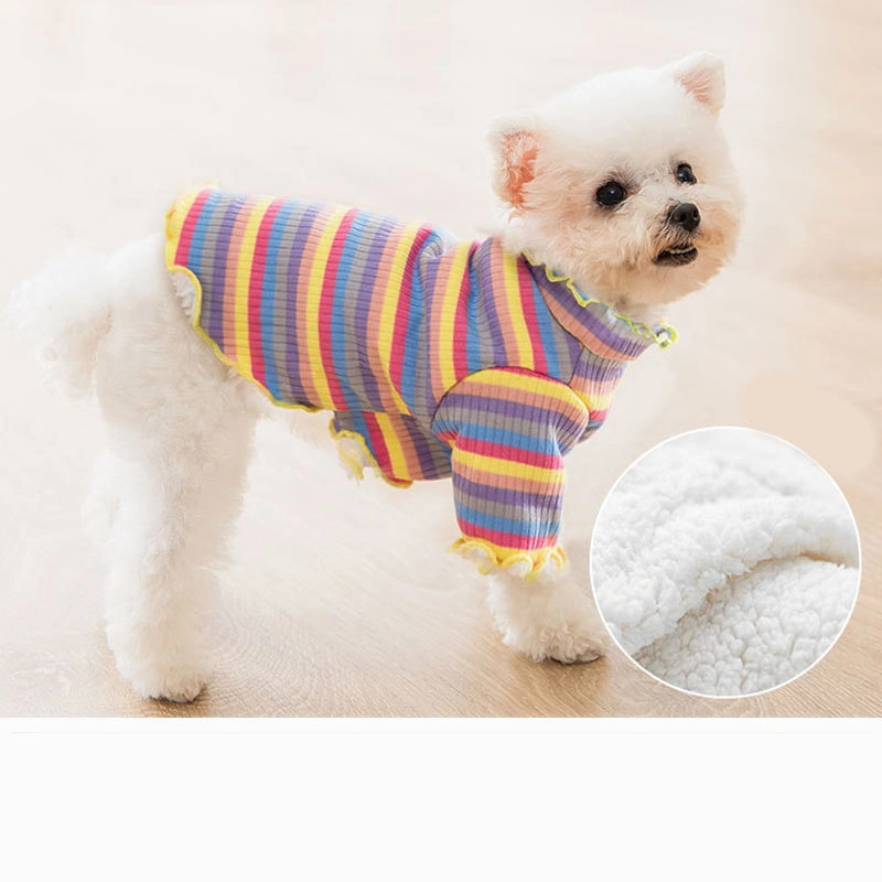Knitted rainbow dog clothes
